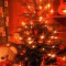 Firmenweihnachtsfeier -All inclusive 49,50 € pro Person-
